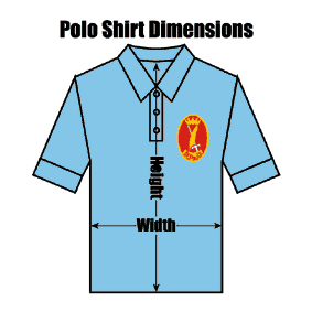 ZCSPREWPOSH St Pauls Sky Blue Polo Shirt : from £10.99