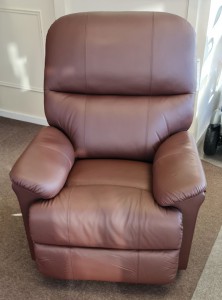 Lars Rise and Recline Chair