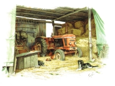 Nuffield Tractor by Michael Cooper