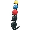 5 Medicine Ball Set with Stand