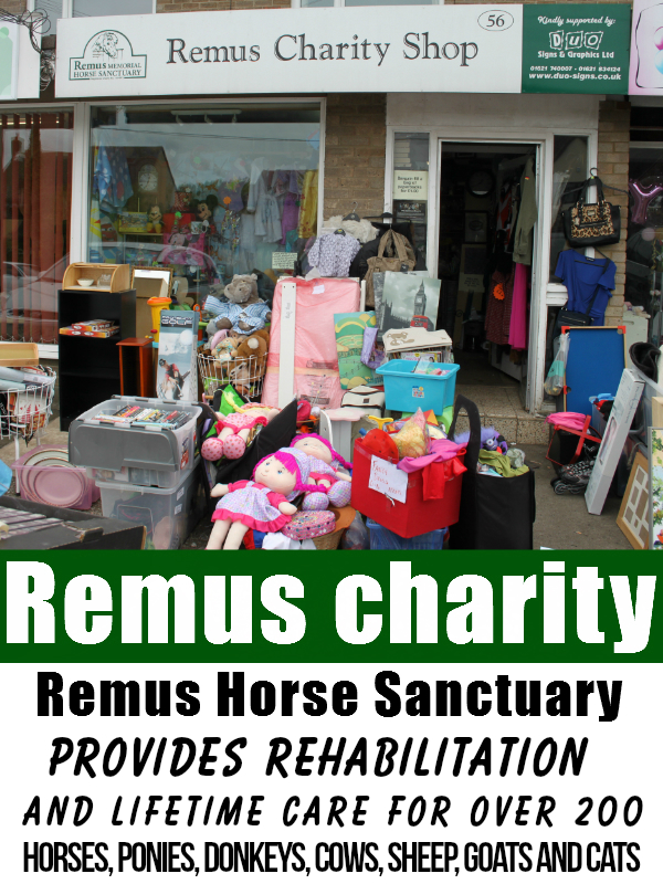 Remus Horse Sanctuary