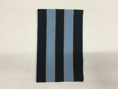 Bloomfield 6th Form Scarf