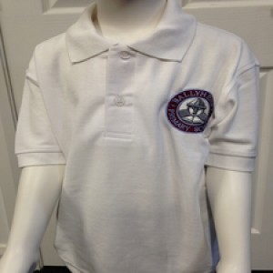 Ballyhenry Primary Polo