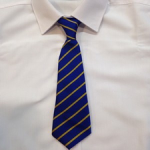 Earlview Ties