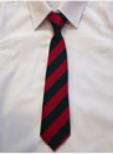 Ashgrove Primary Ties