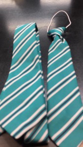 Lead Hill Primary Ties