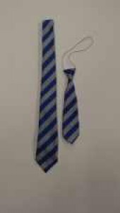 Lisnasharragh Primary Ties