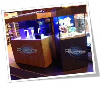 Tropical Package Deal 12 Std