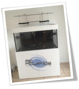 Tropical Package Deal 9 Gloss