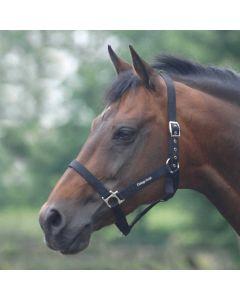 Cottage Craft Standard Headcollar