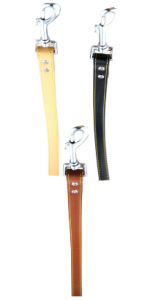 Companion Leather Lead