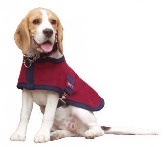 Comfort Zone Lapel Dog Coat