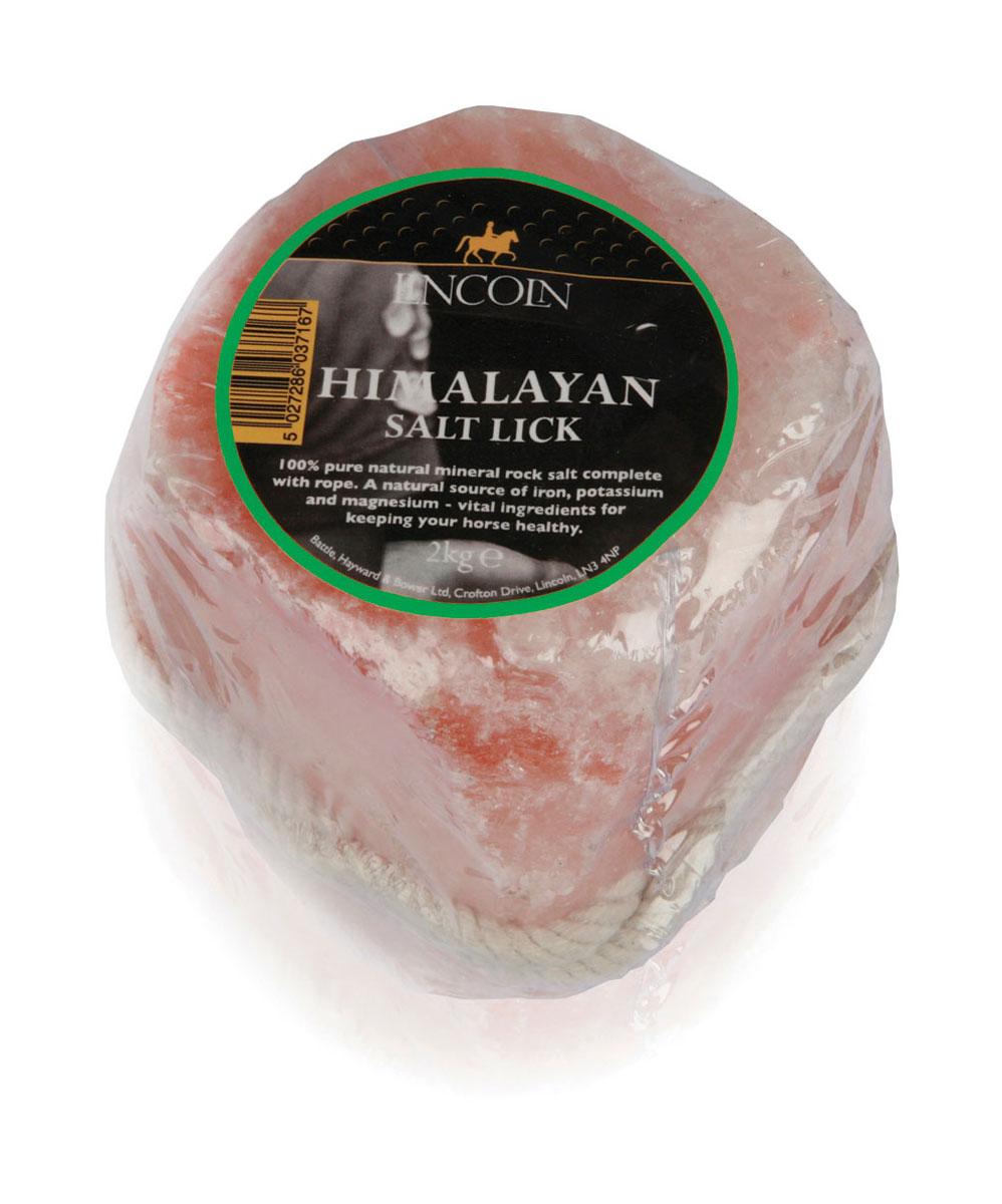Himalayan Salt Lick