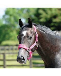 Cottage Craft Candy Stripe Headcollar