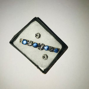 Wolds Stock Pin Earring Set