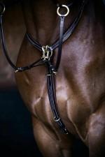 Olvossa Stitched Brestplate