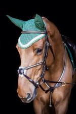 Olvossa Grackle Bridle