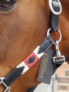 Olvossa Polo Headcollar