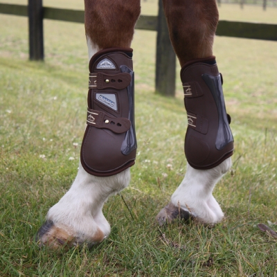 Veredus Olympic Double Density Tendon Front Boots | Horse Boots ...