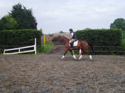 6 Year Old Lucky Boy.