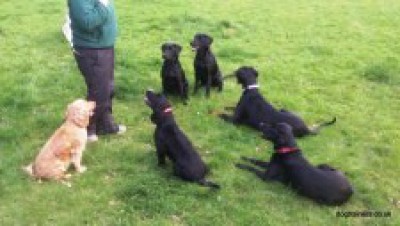 Some of our regular/long term guests.