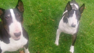 Badger Bailey & Princess Poppy.