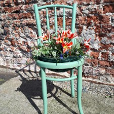 A0001 Apple of My Eye  Al Fresco