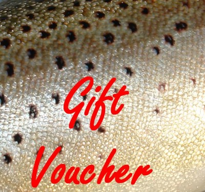 Gift Voucher