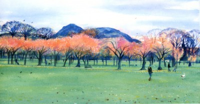 The Meadows, Edinburgh