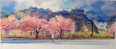Edinburgh castle (pink blossom)