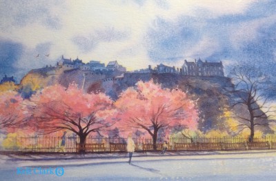 Edinburgh castle (pink blossom)
