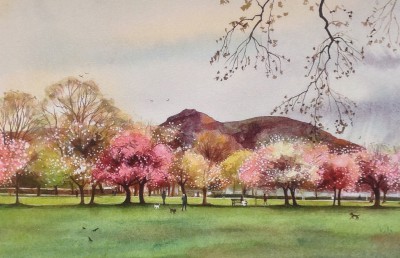 The Meadows and Arthur's seat