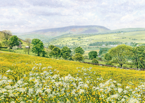 Pendle Hill from Cob Lane. Painting : Keith Melling
