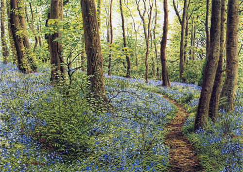 Spring Wood, Whalley, Lancashire. Painting : Keith Melling
