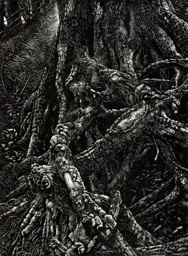 Roots. Wood engraving. Artist Keith Melling