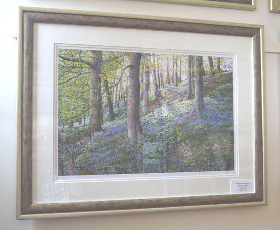 Bluebells and Ramsons framed in two tone P4031
