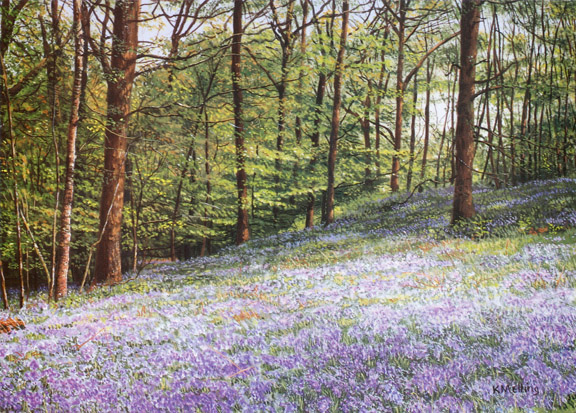 Bluebells, Jeffy Knotts Wood. Painting by Keith Melling