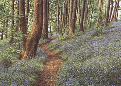 Bluebells, Haslost Wood II. Artist Keith Melling