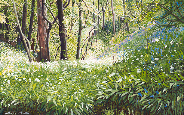 A Bluebell and Ramsons Wood, Painting by Sam P Melling