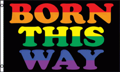Rainbow Born This Way 5x3 Flag