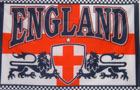 England 2 Lions