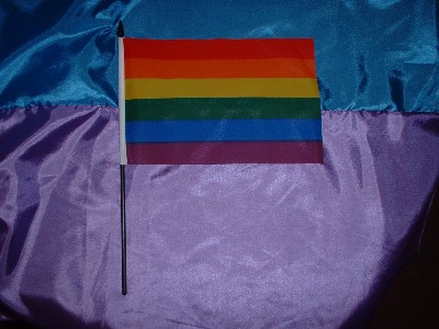Pride  Small Hand Flag Stand £3.00