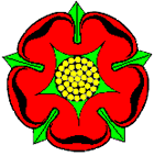 Old Lancashire Rose