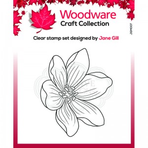 Tracey JGS558 Bold Blooms Woodware A6 Clear Cling Stamps 