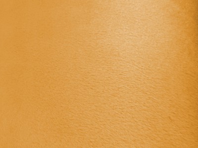 Golden Beige Velour 'Teddy Bear' Foam Backed Fabric F1457