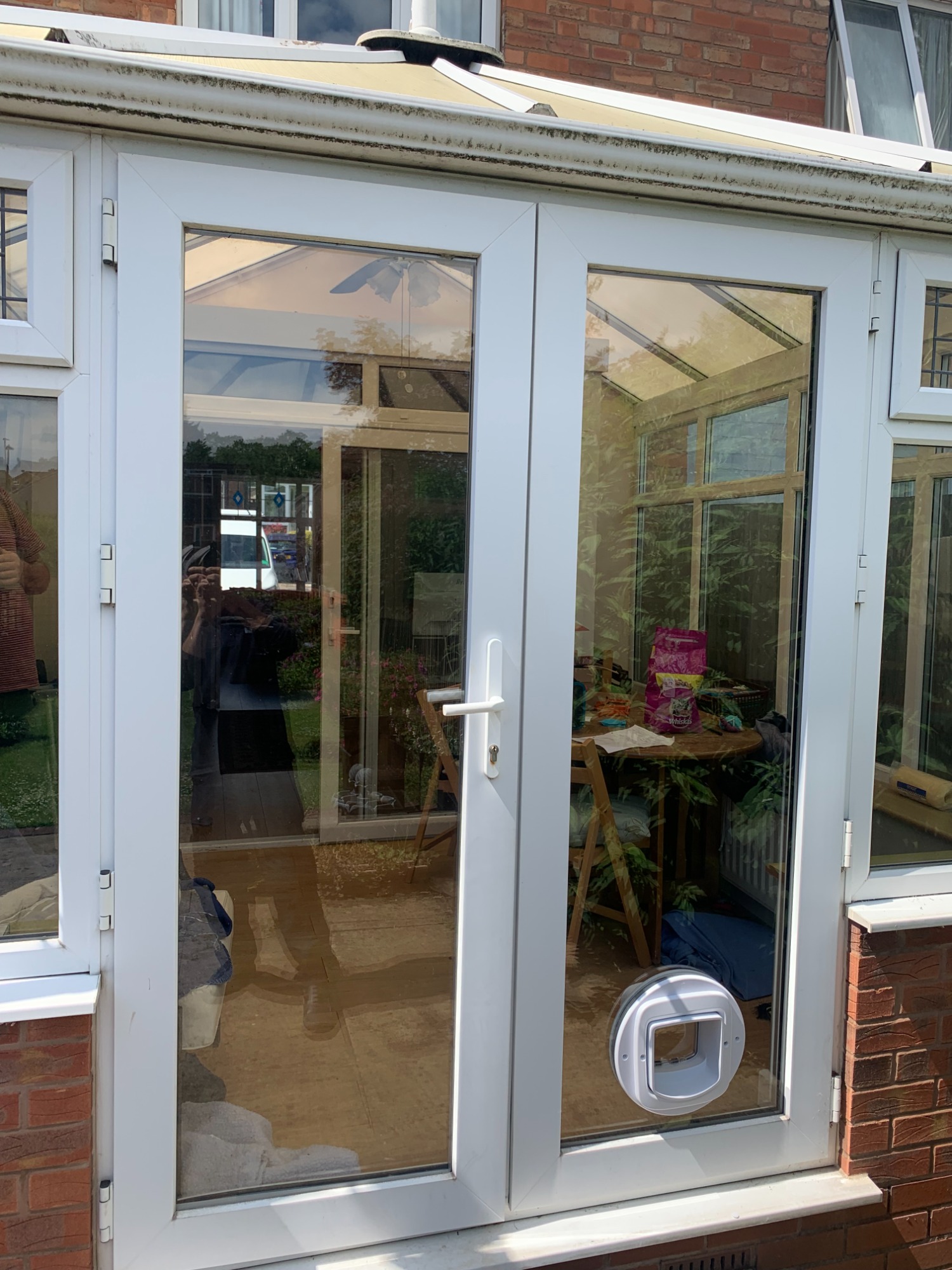 cat flap in conservatory