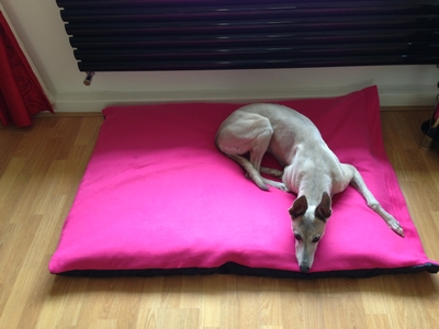 large dog cushion
