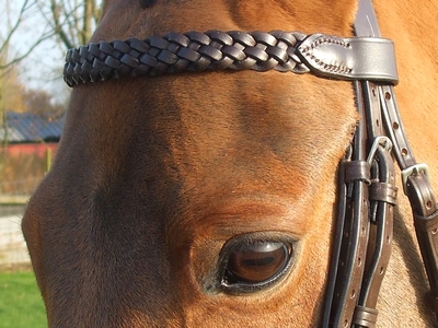 SHIRES AVIEMORE PLAITED LEATHER  BROWBAND 