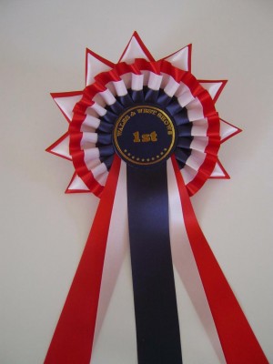 Champion rosette with stars