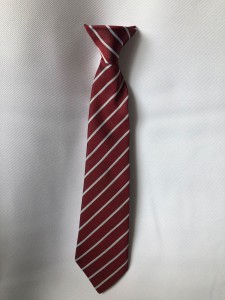 DELACY PRIMARY SCHOOL CLIP ON TIE